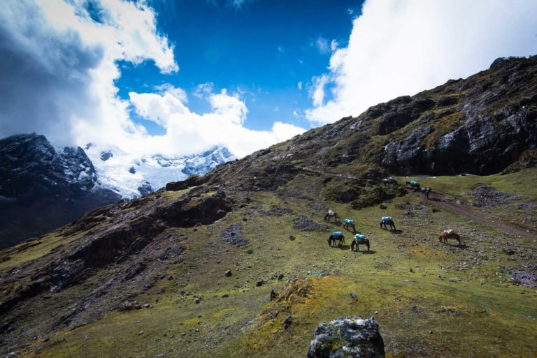 Lares Trek to Machu Picchu