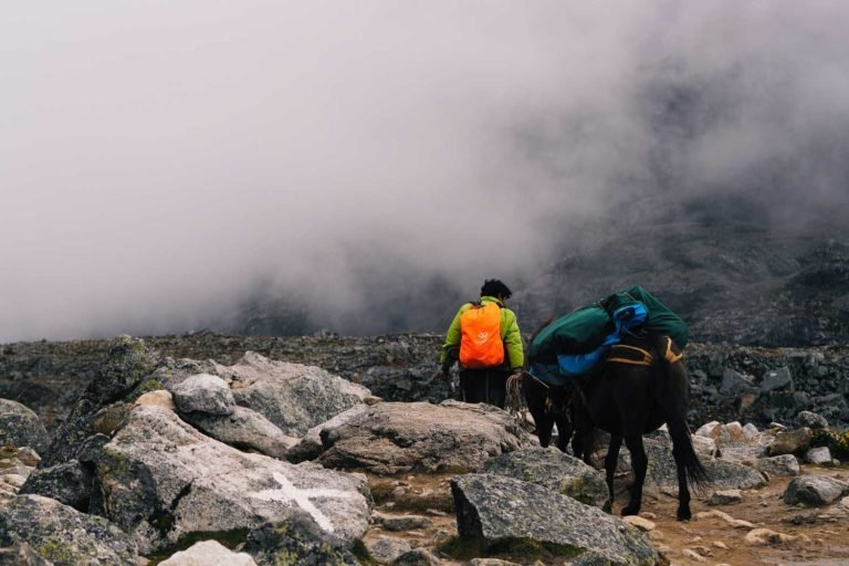 Salkantay Trek To Machu Picchu