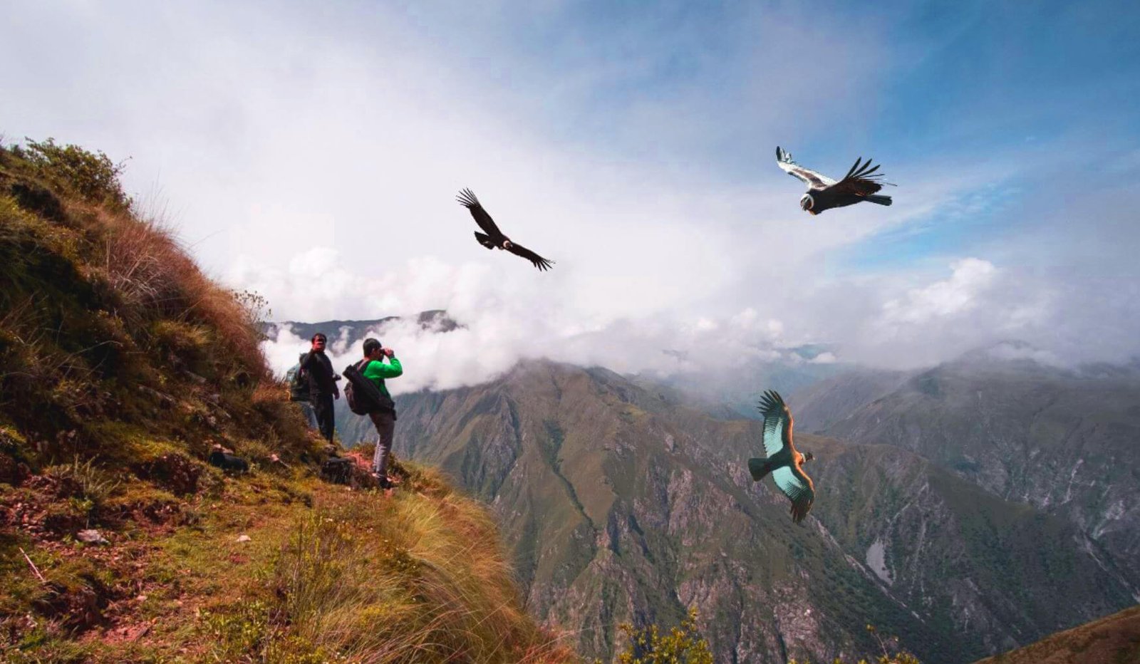 Lee más sobre el artículo Mirador de cóndores Chonta, Cusco