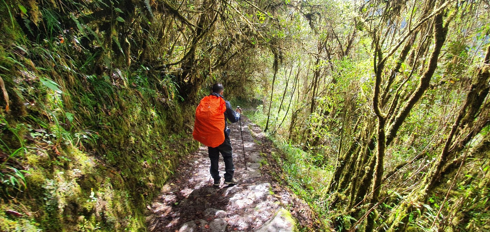 Inca Trail to Machu Picchu 4 daysPhoto #3 