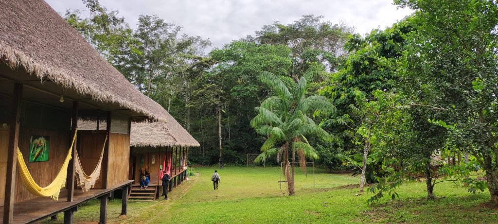 tambopata rainforest