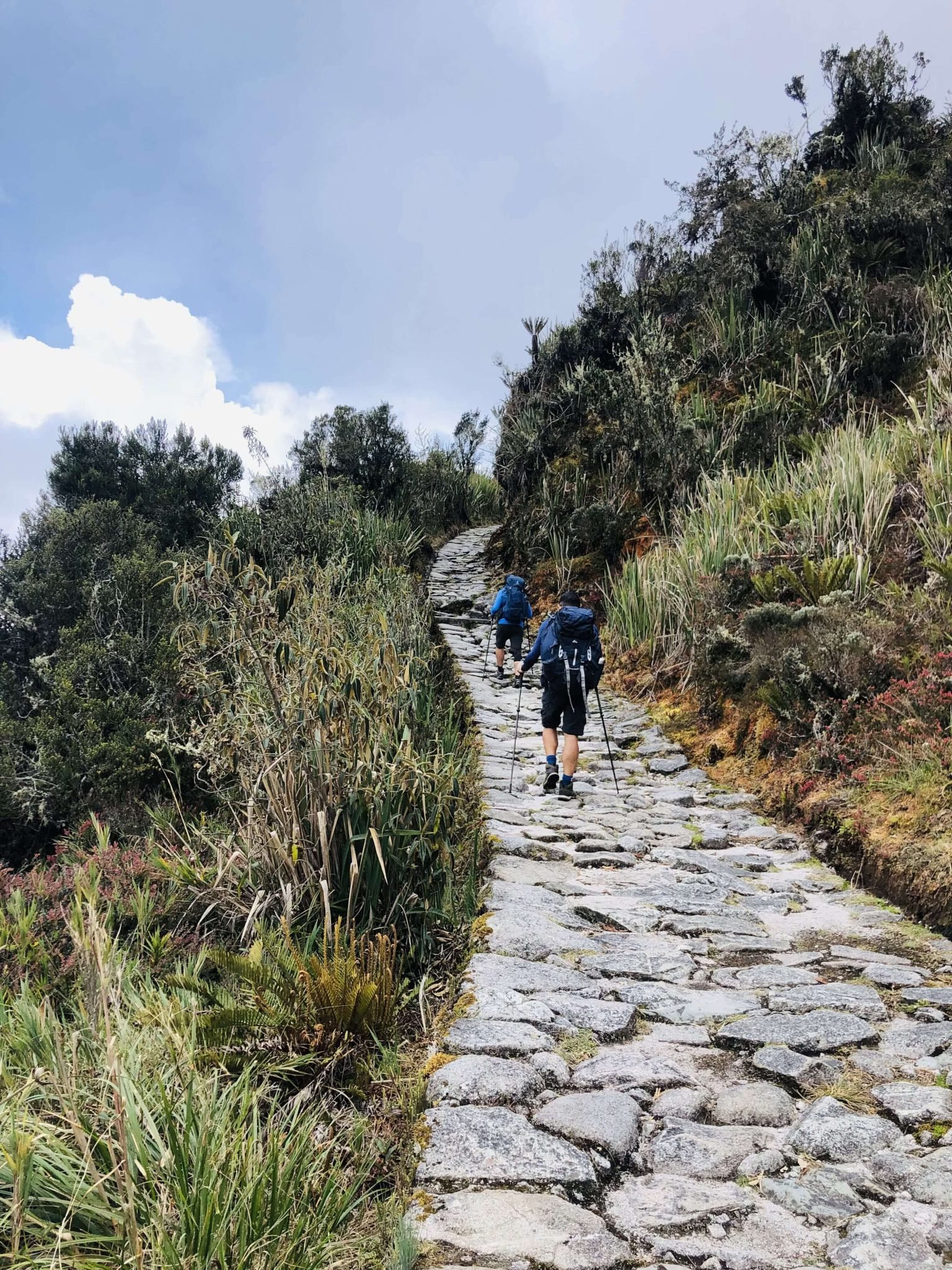 Trilha Inca Machu Picchu 2 díasPhoto #1 