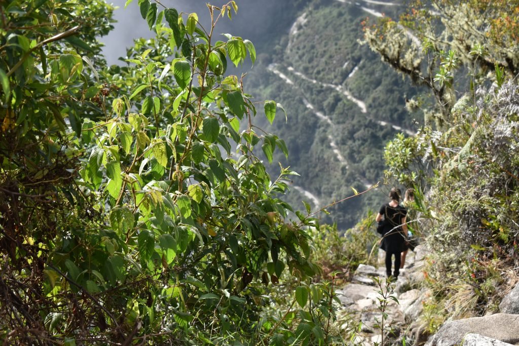 Huaynapicchu