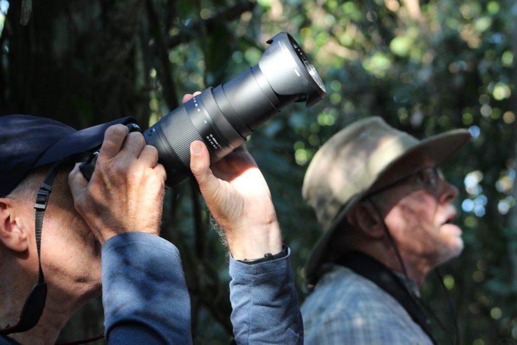 Birds of Tambopata