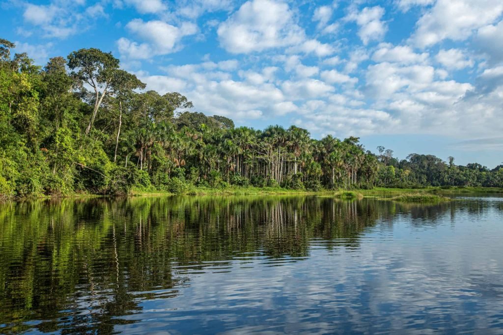 Reserva Nacional Tambopata