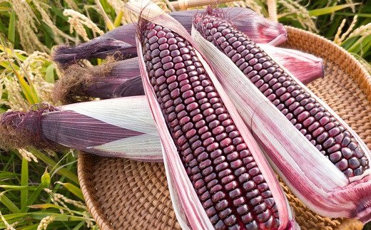Chicha Morada, a bebida emblemática do Peru