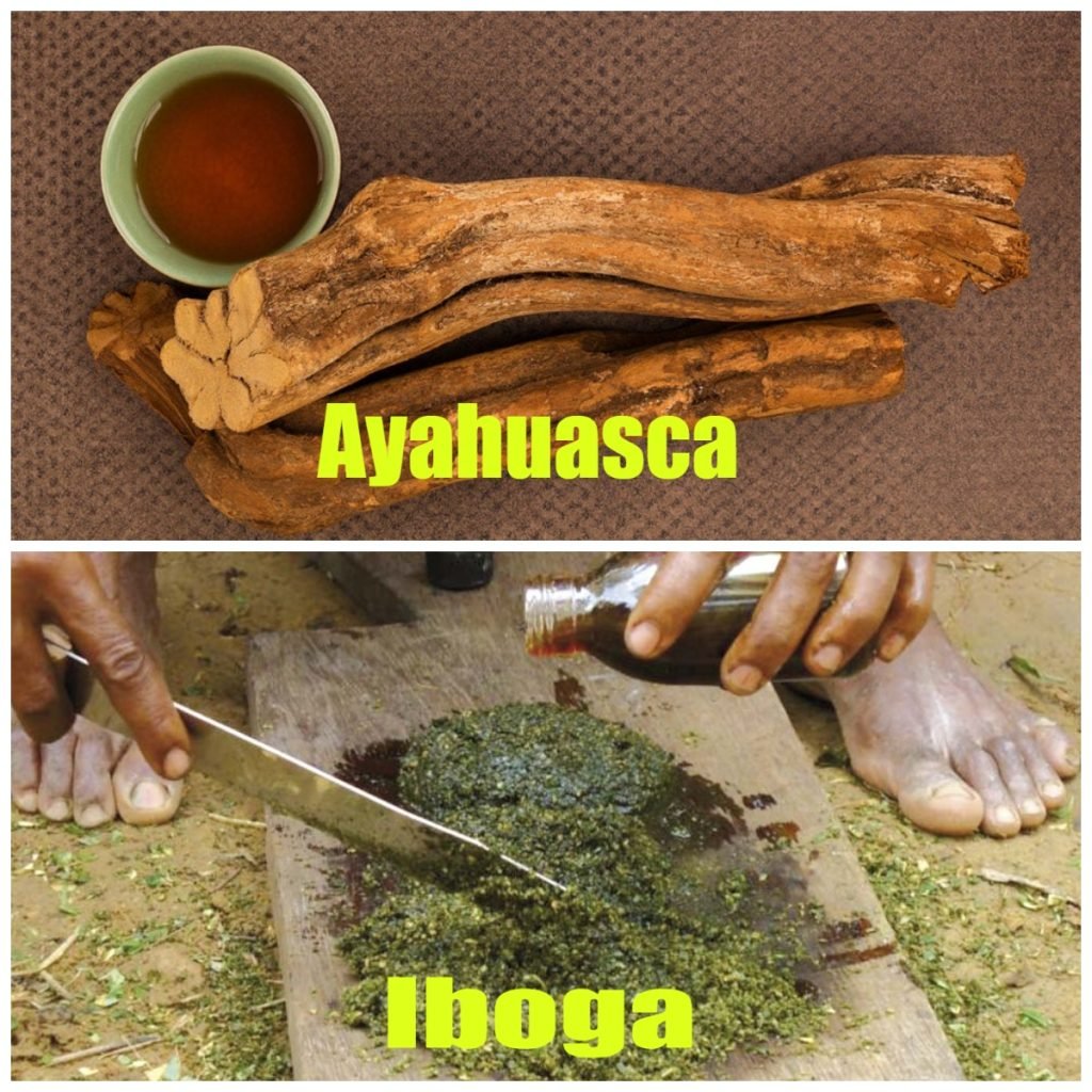 Ayahuasca y Iboga