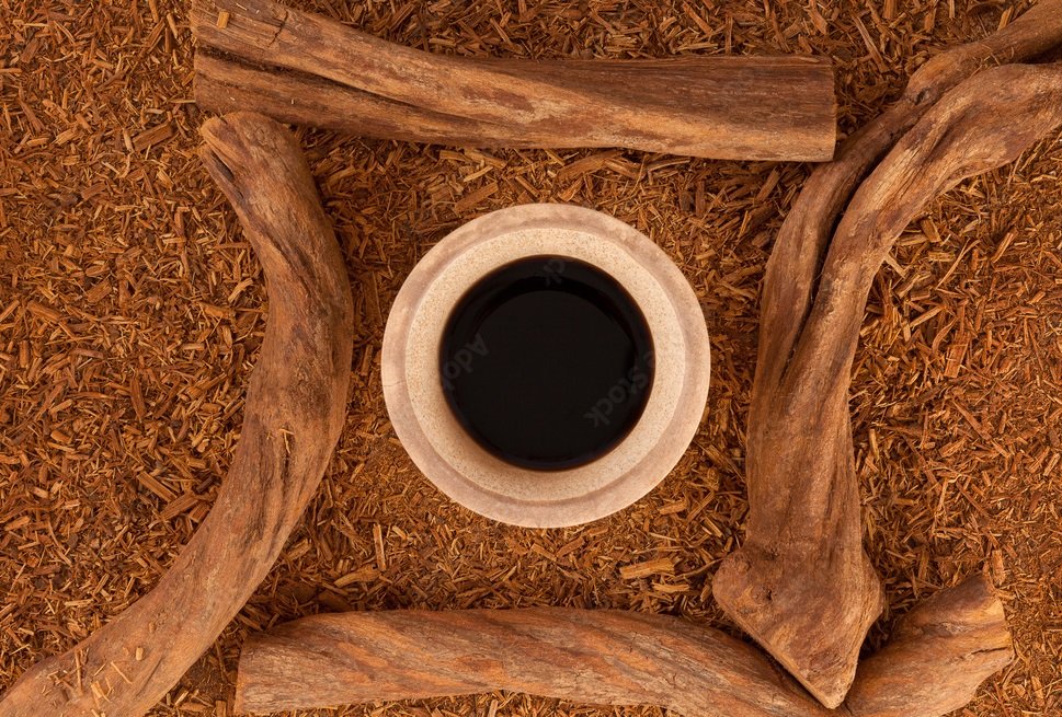 La ayahuasca bebida psicotrópica
