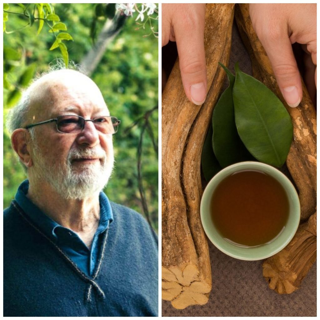 Dr. Dennis McKenna – ayahuasca