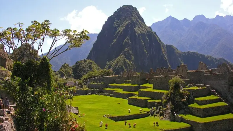 Machu Picchu