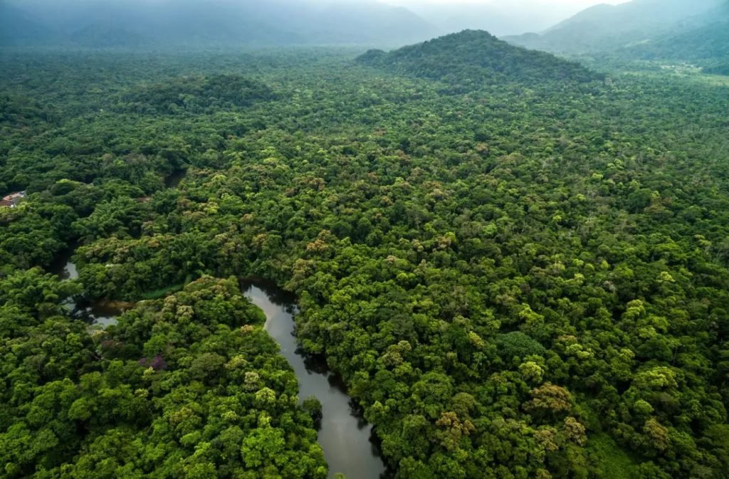 Selva Amazonica Peruana