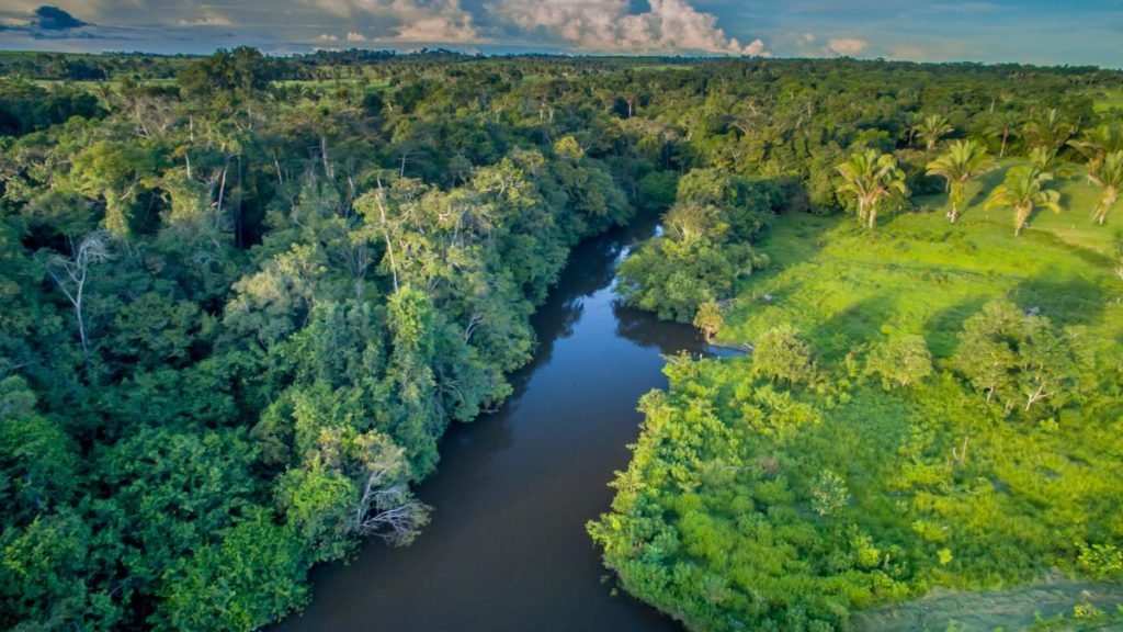 cuenca del Amazonas-Tambopata