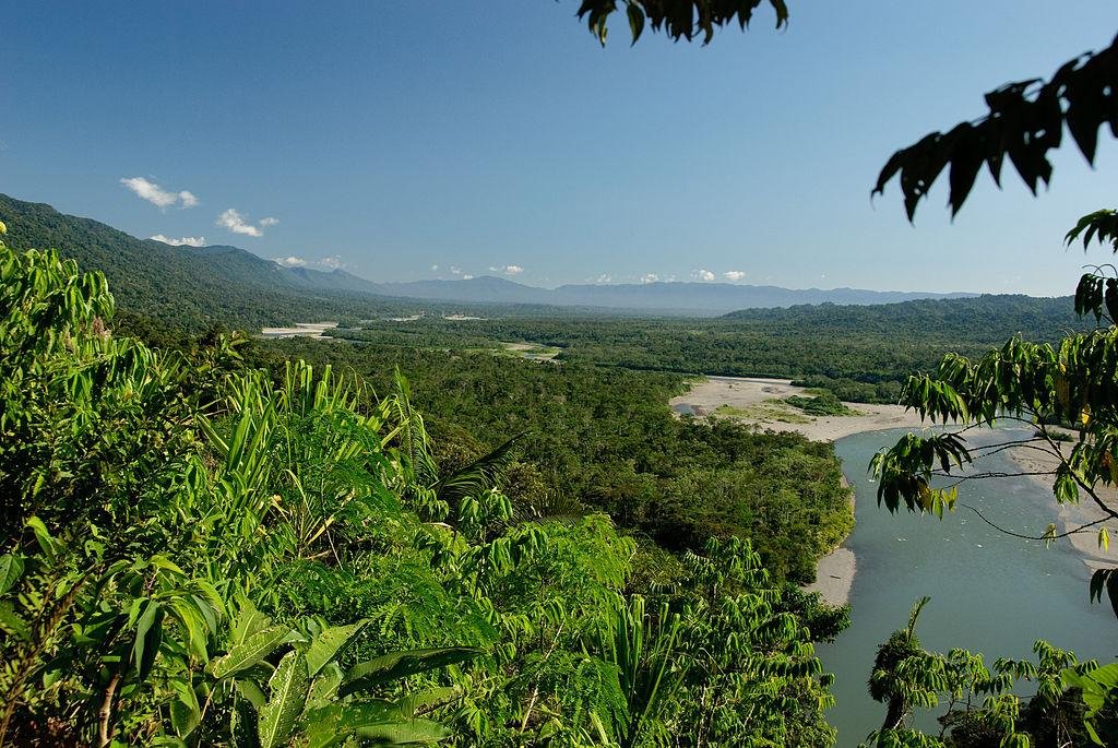 flora_y_fauna_de_la_selva_peruana