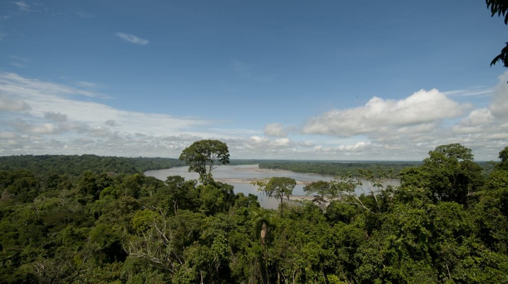 Parque Nacional Yasuní