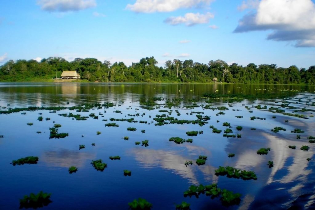 Reserva Nacional Pacaya-Samiria