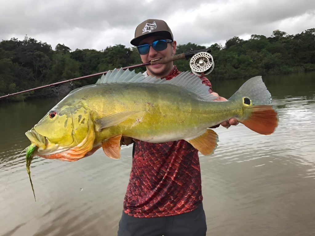 Pesca do Tucunaré na Amazônia