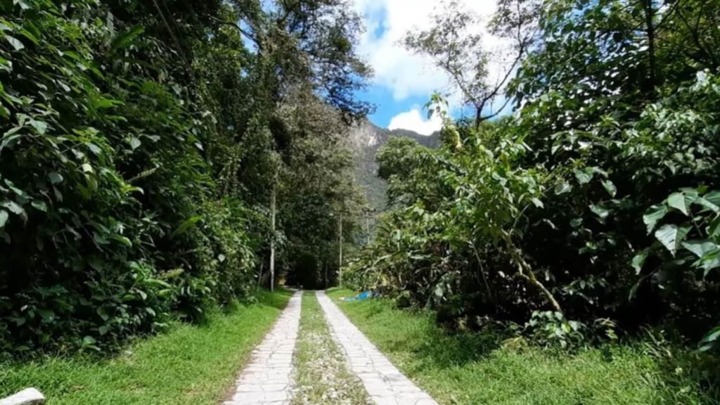Aguas Calientes: Hike to Machu Picchu