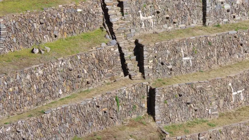 Llamas of the Choquequirao Sun