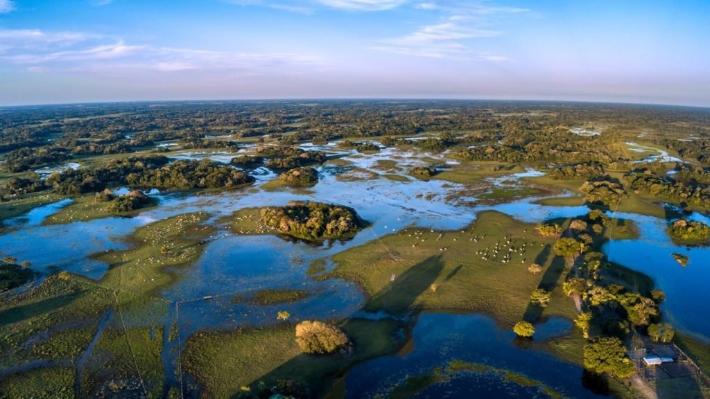 Descobrindo o Pantanal -  Brasil