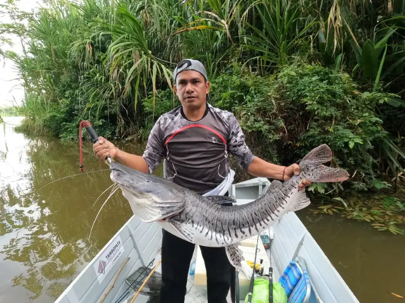 Fishing in the  River: Fish Species