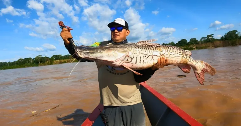 Pesca Esportiva em Tambopata Amazonas 3 dias