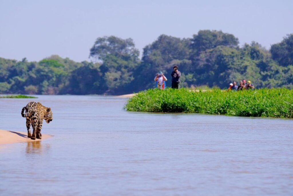 Os melhores destinos no Pantanal