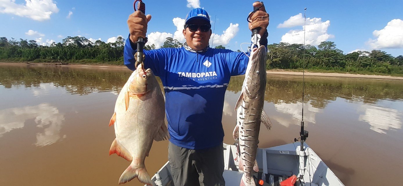Fishing in rainforest: Discover ia