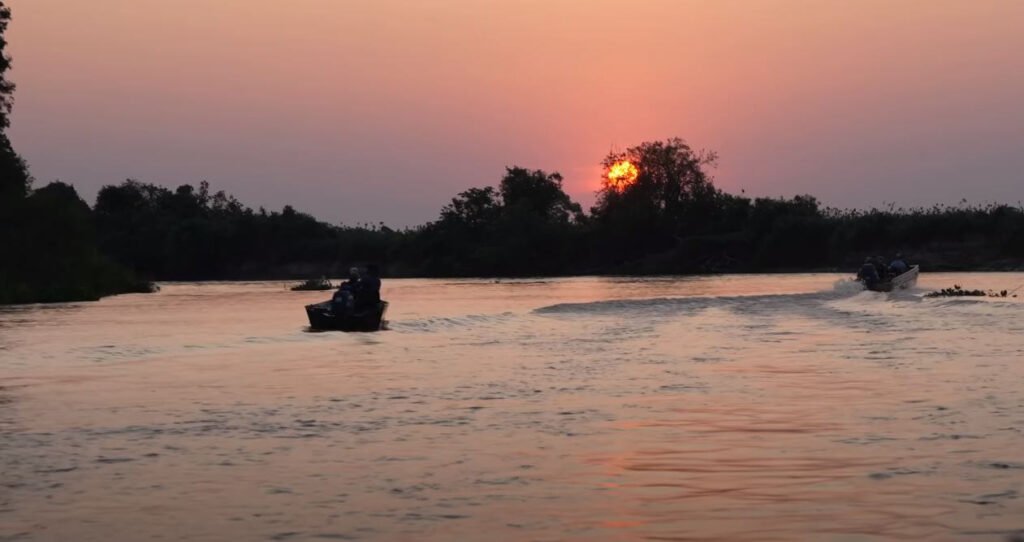 Tours al Pantanal durante la temporada verde