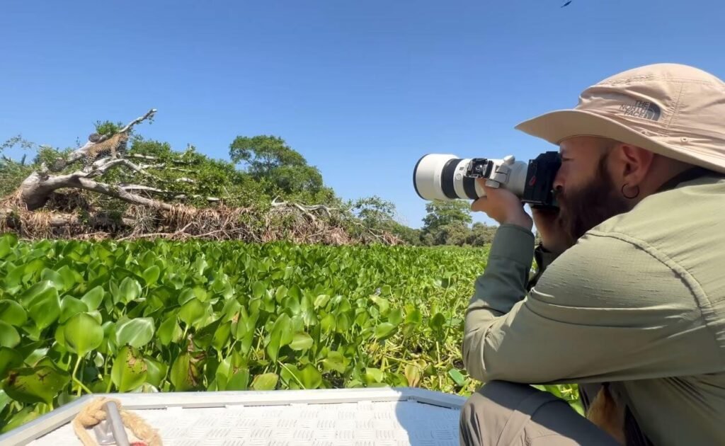 Os melhores destinos no Pantanal