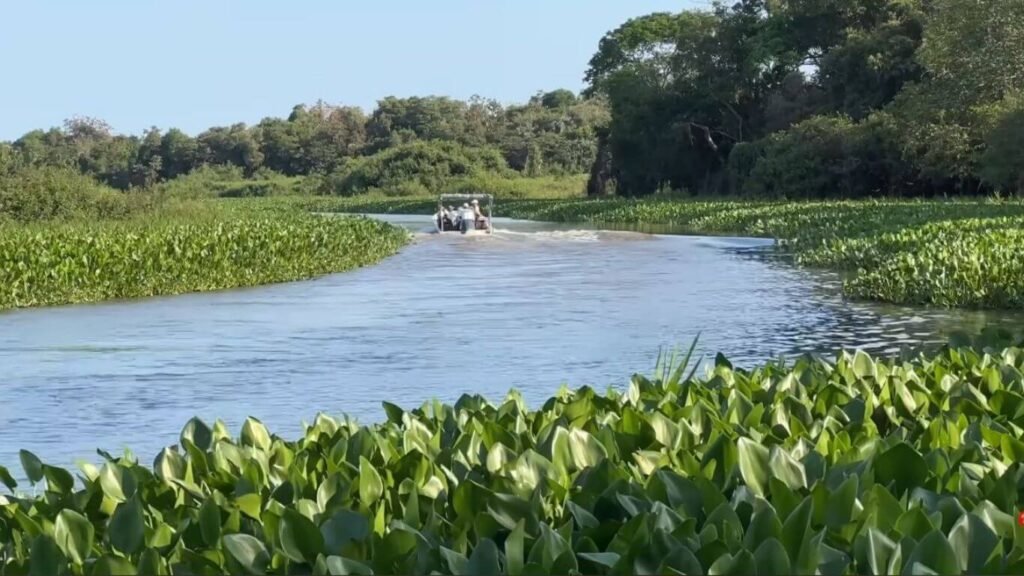 The best destinations in the Pantanal