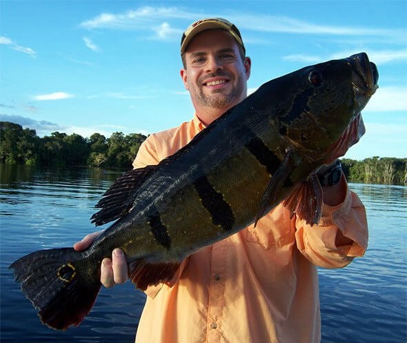 Pesca Deportiva del Tucunaré en Pantanal Mato Grosso