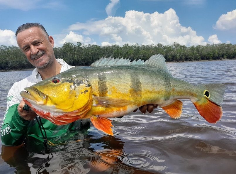 Pesca Deportiva del Tucunaré en Pantanal Mato Grosso