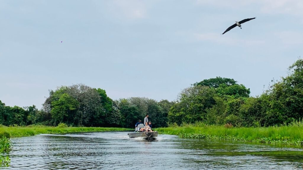 As melhores excursões no Pantanal: Viagem inesquecível