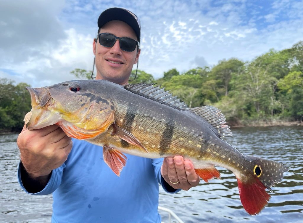 Consejos pesca de tucunares