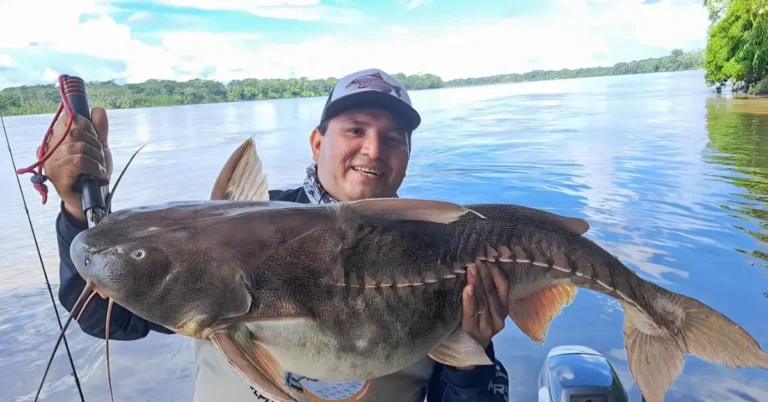 Pesca Esportiva em Tambopata 2 dias