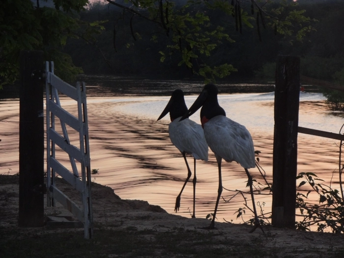Santa Tereza Lodge