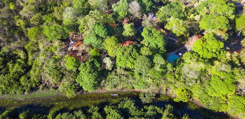 Lodge Aymara no Pantanal
