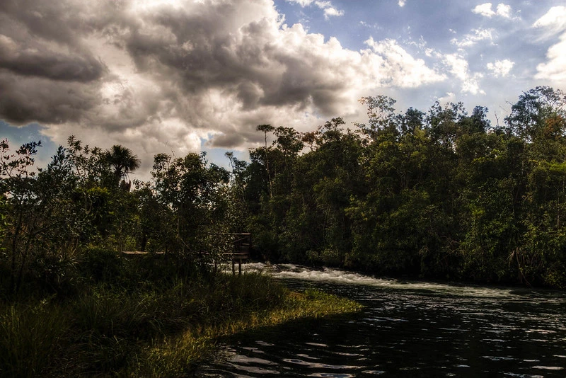 Emas National Park