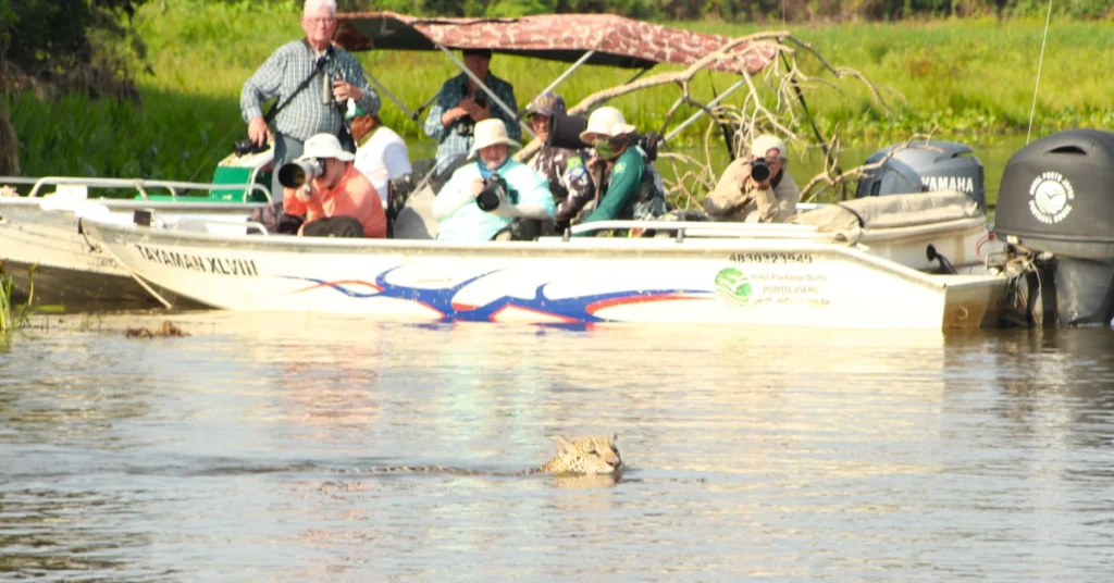 Pantanal Jaguar Safari no Brasil